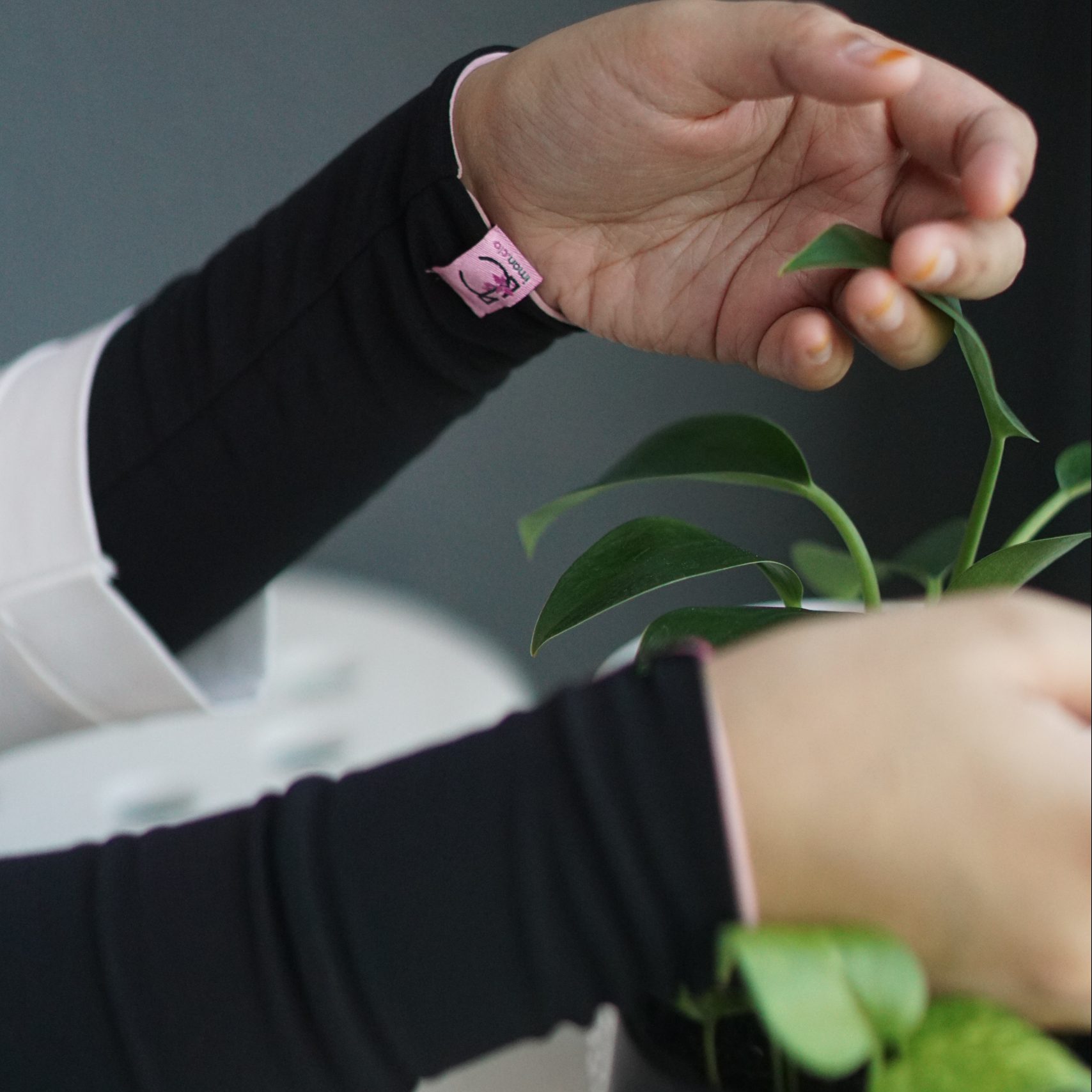 Set Hasya & Haya' - Image 4